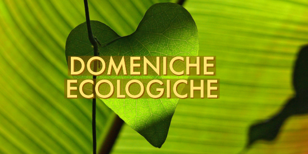 Domeniche ecologiche a Mira